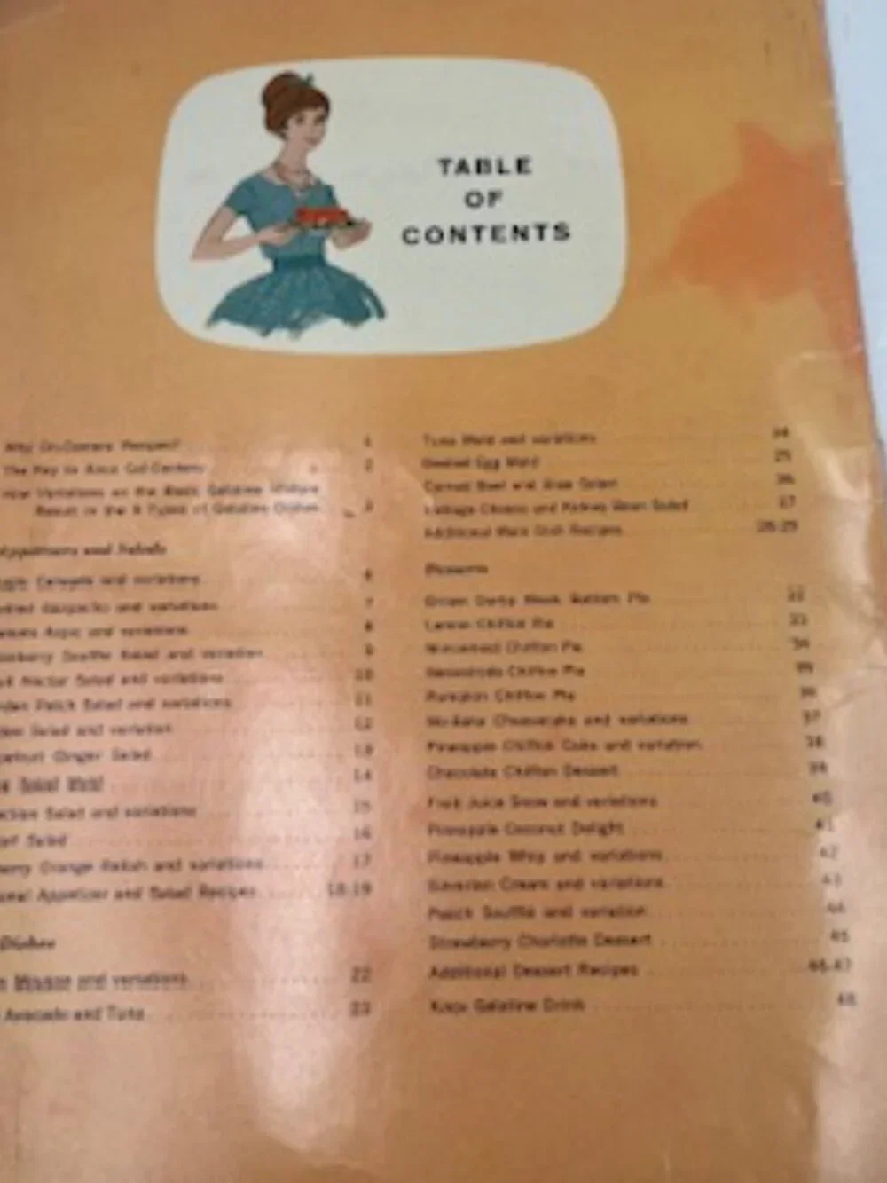 Vintage Knox On-Camera Recipe book from 1962 Gelatin Recipes